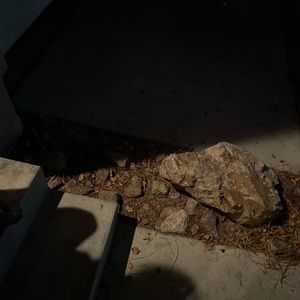 Meet your Posher, Devonta